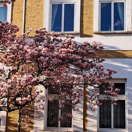Ferienwohnung Rosi Naumburg  Luaran gambar