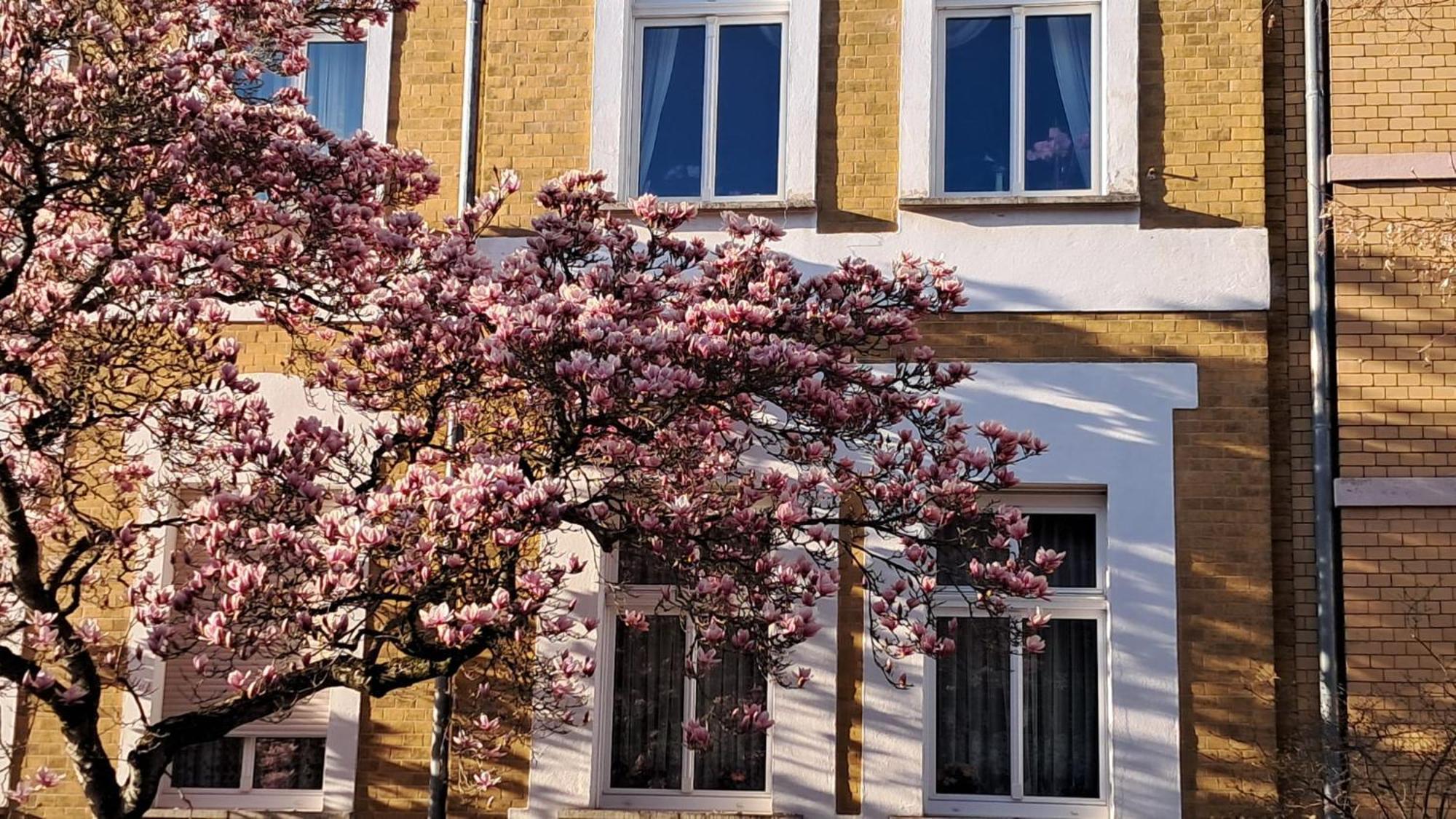 Ferienwohnung Rosi Naumburg  Luaran gambar